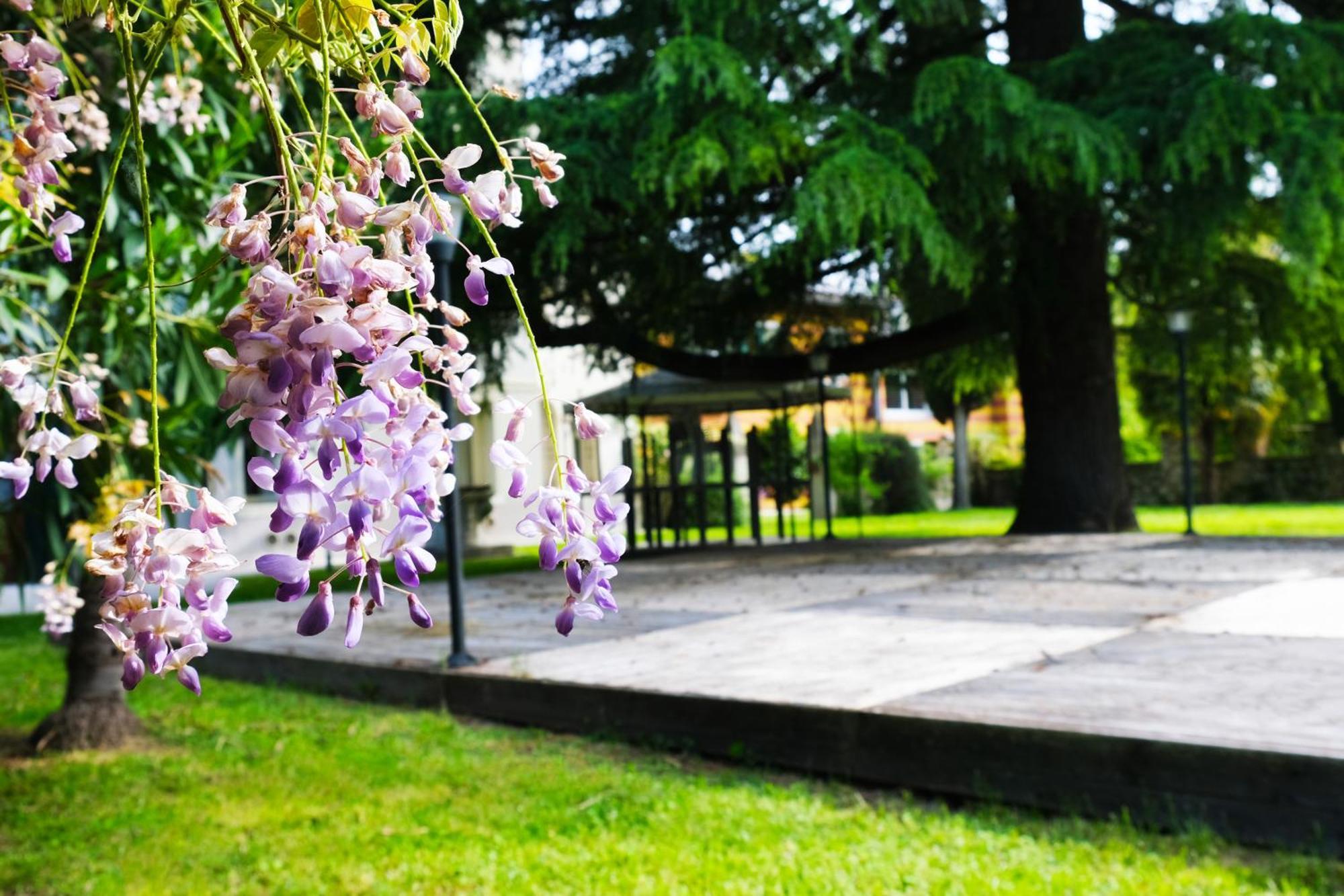 Hotel Villa Ca Damiani Caneva Dış mekan fotoğraf