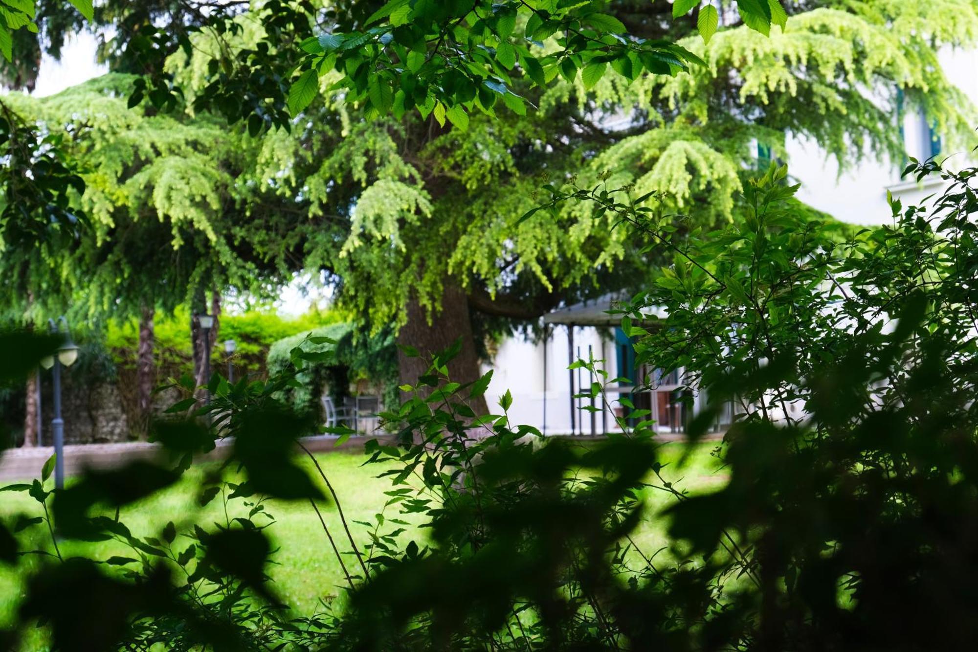 Hotel Villa Ca Damiani Caneva Dış mekan fotoğraf